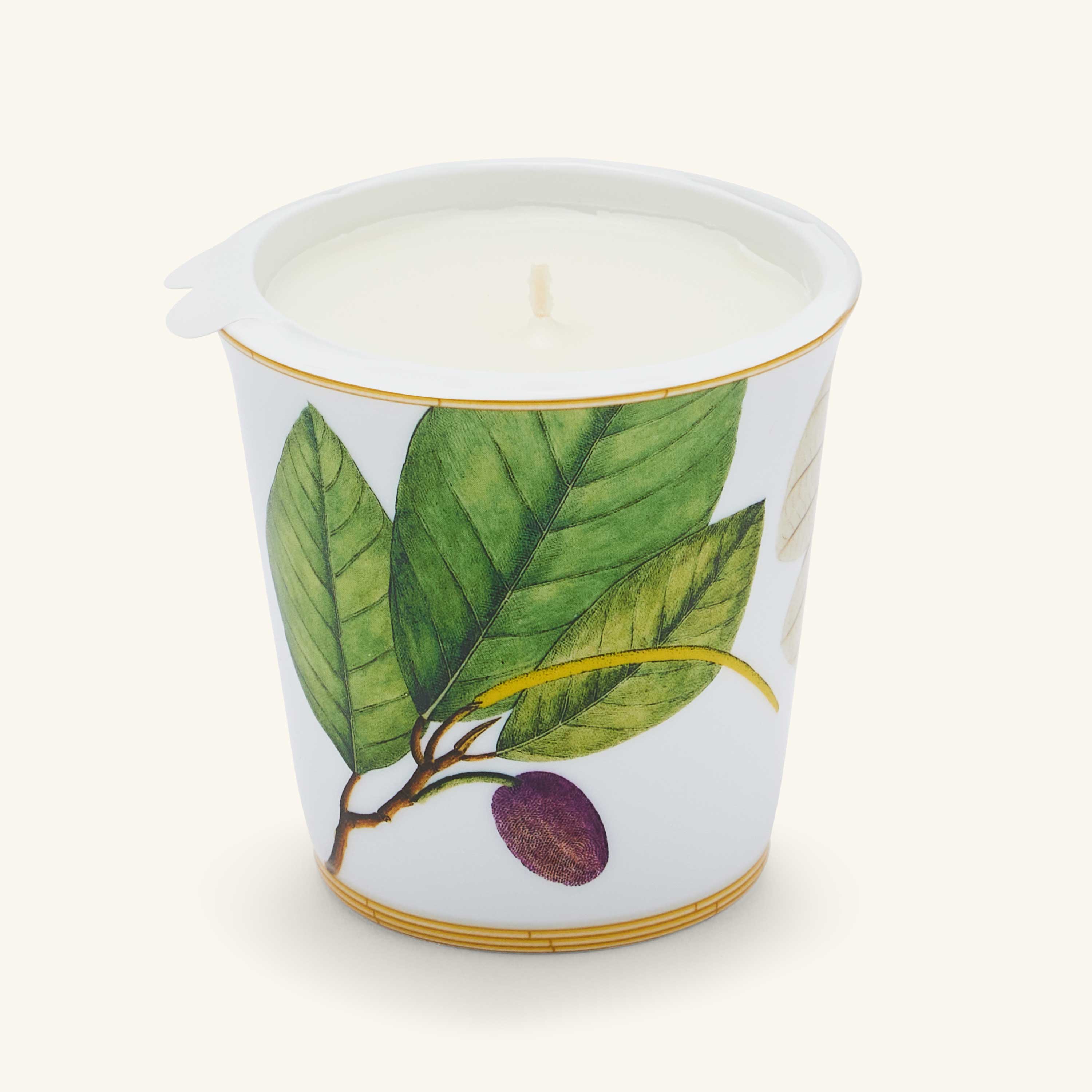 

Jardin Indien Tumbler + Candle