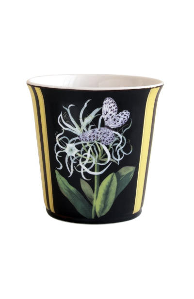 

Natura - Jonquille De Mer Set Of Candle Tumbler