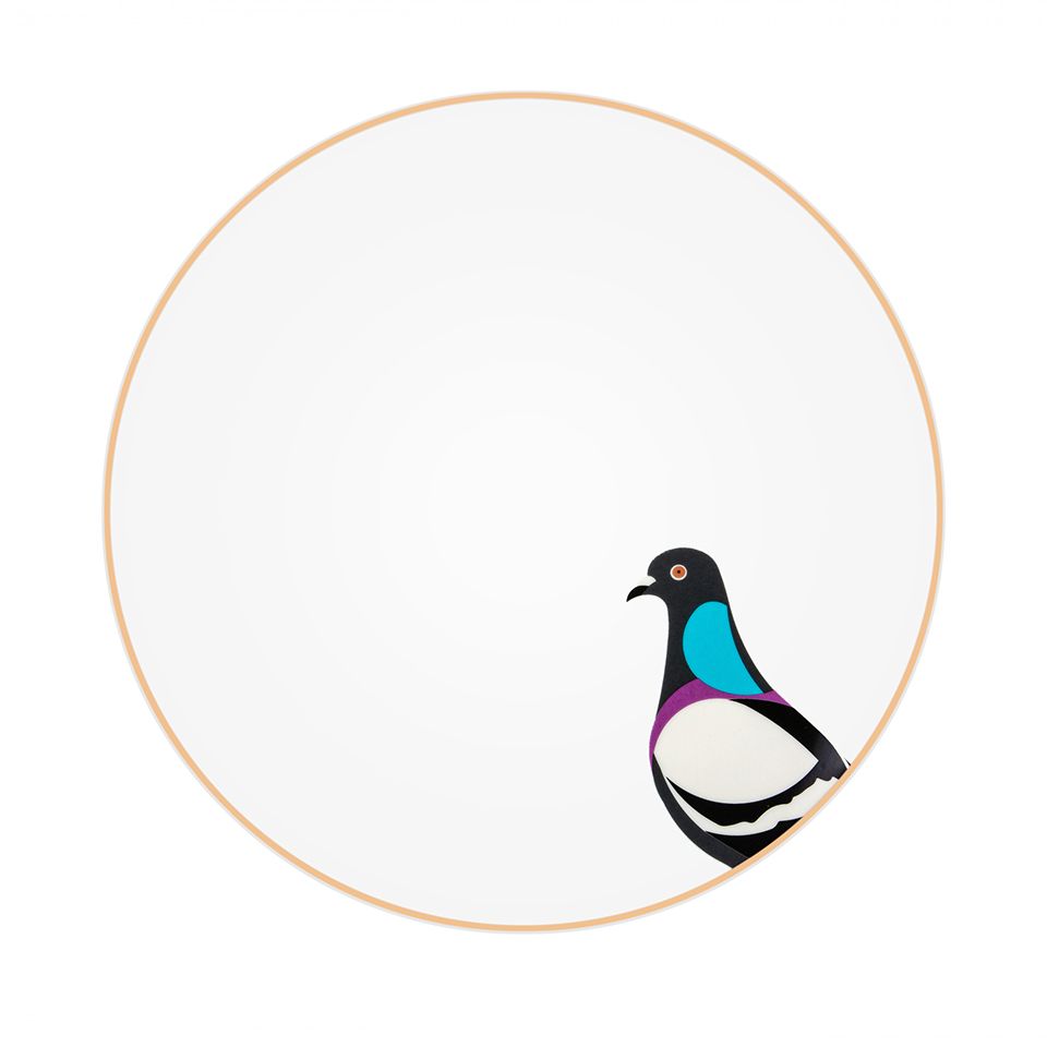 

Sarb Dinner Plate Rock Pigeon